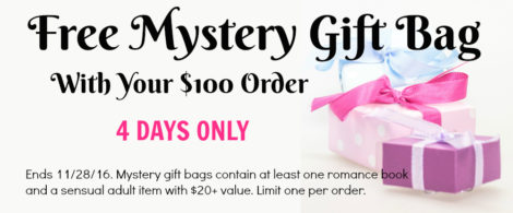 Black Friday: Free mystery gift back with $100 Bawdy Bookworms purchase
