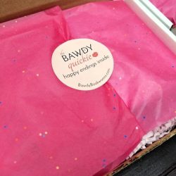 Bawdy Quickie Box Teaser