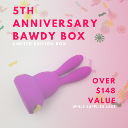 5th Anniversary Bawdy Box